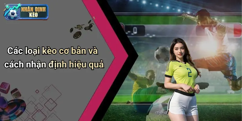Các loại kèo cơ bản và cách nhận định hiệu quả