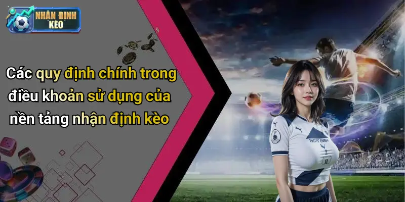 Các quy định chính trong điều khoản sử dụng của nền tảng nhận định kèo