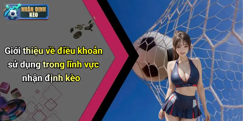 Giới thiệu về điều khoản sử dụng trong lĩnh vực nhận định kèo