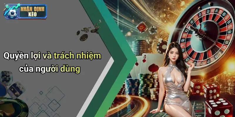 Quyền lợi và trách nhiệm của người dùng