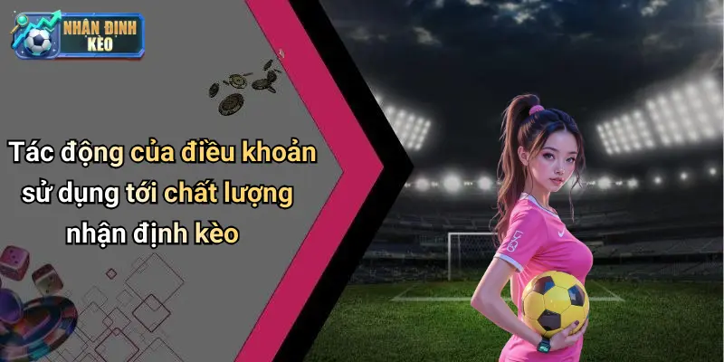 Tác động của điều khoản sử dụng tới chất lượng nhận định kèo
