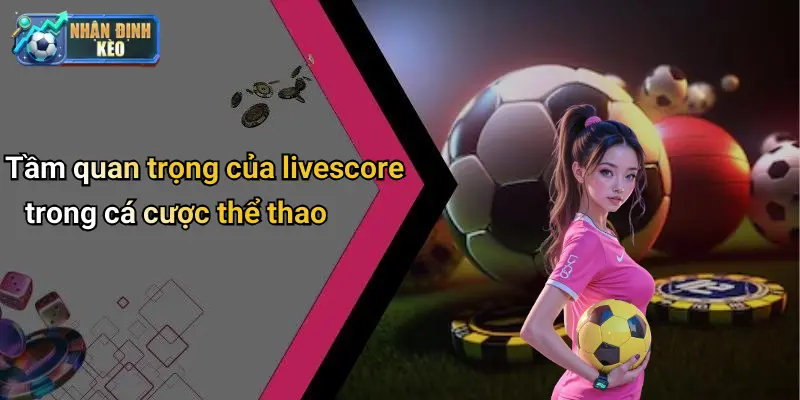 Tầm quan trọng của livescore trong cá cược thể thao