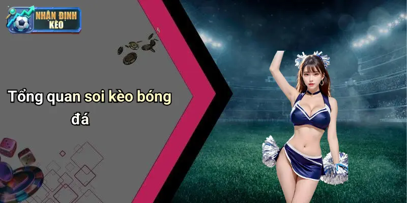 Tổng quan soi kèo bóng đá