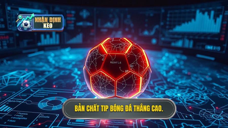 Hiểu đúng về bản chất của tip bóng đá thắng cao