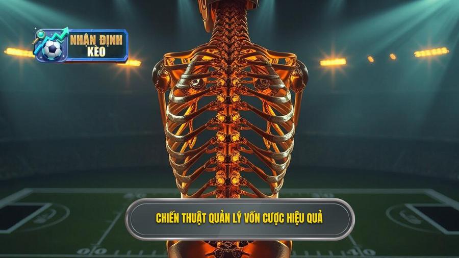 Xương sống của mọi tip bóng đá thắng cao