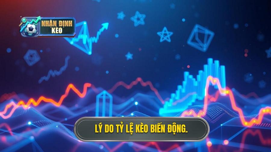 3. Lý do tỷ lệ kèo biến động.