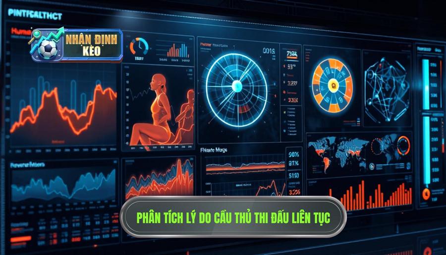 Phân tích đa chiều: Tại sao họ có thể thi đấu nhiều đến vậy?